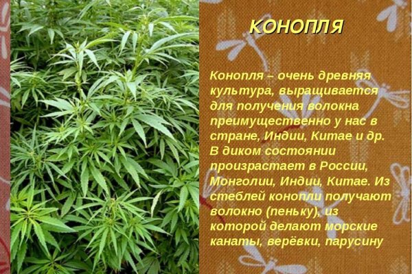 Магазин наркоты