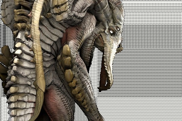 Krakin12 at