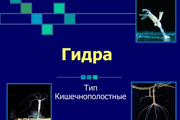 Kra45.at