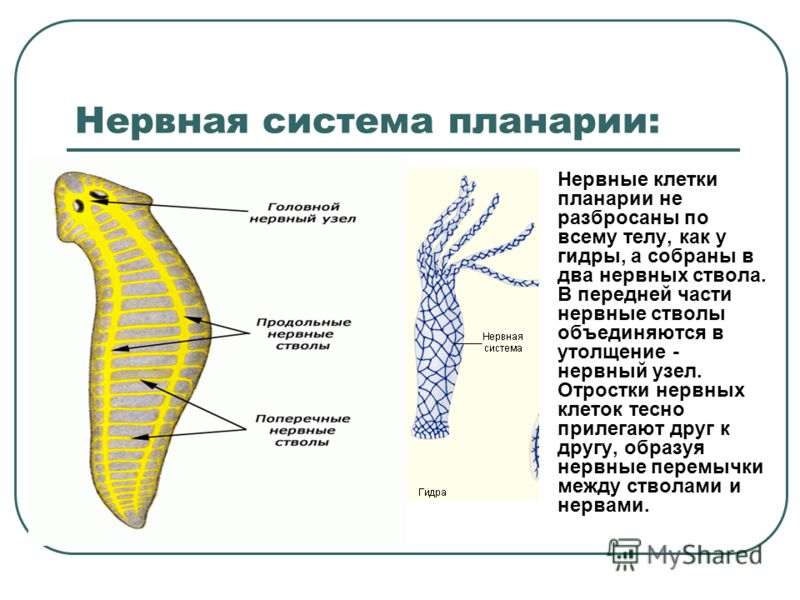 Кракен ссылка онион зеркало