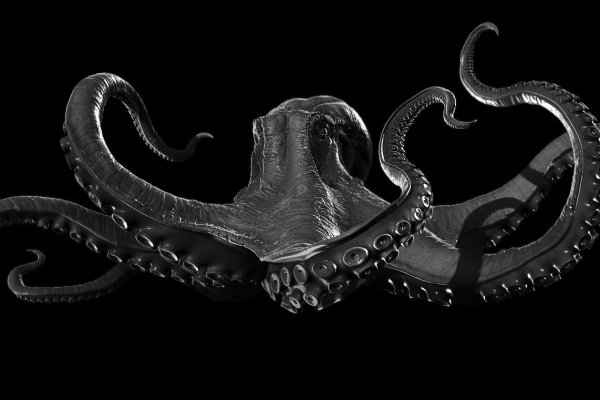 Kraken ссылка тг