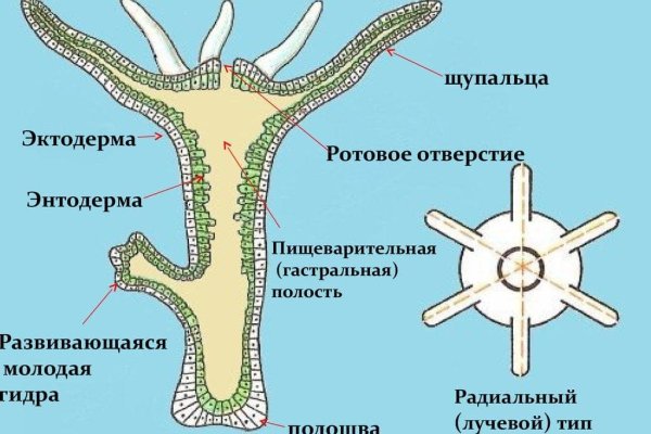 Kraken ссылка kraken link24 info