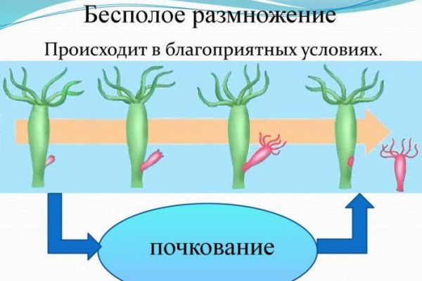 Кракен браузер ссылка