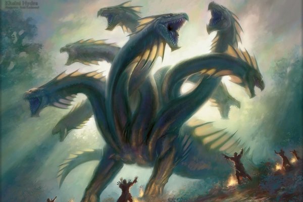 Kraken 5 at