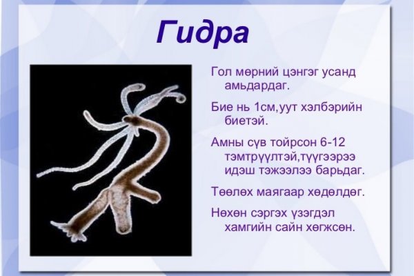Логин и пароль от кракен
