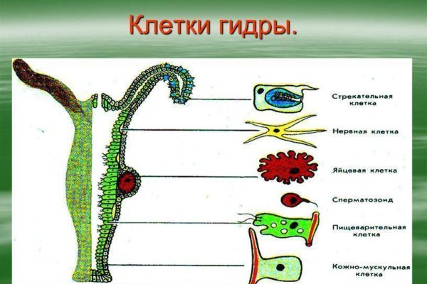 Кракен 17 вход