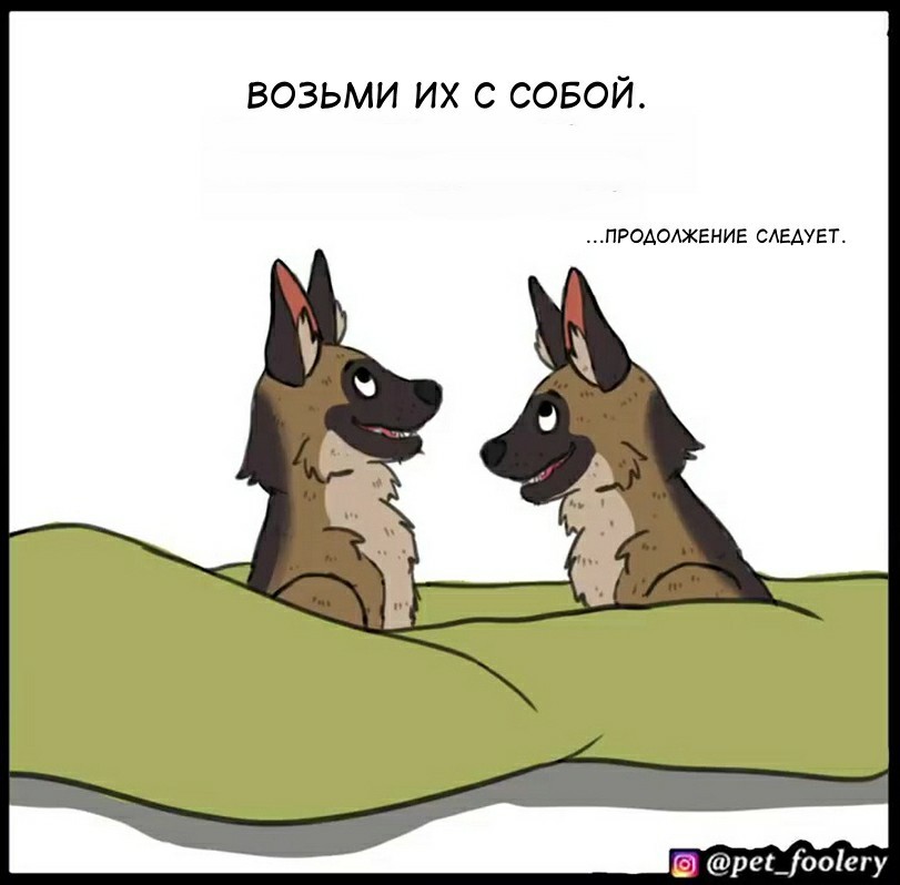Даркнет каталог