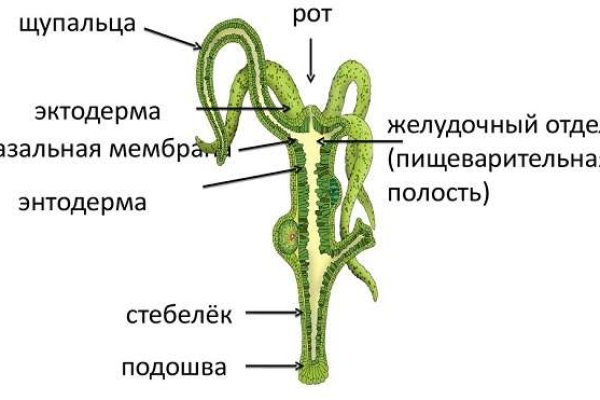 Kra46.cc